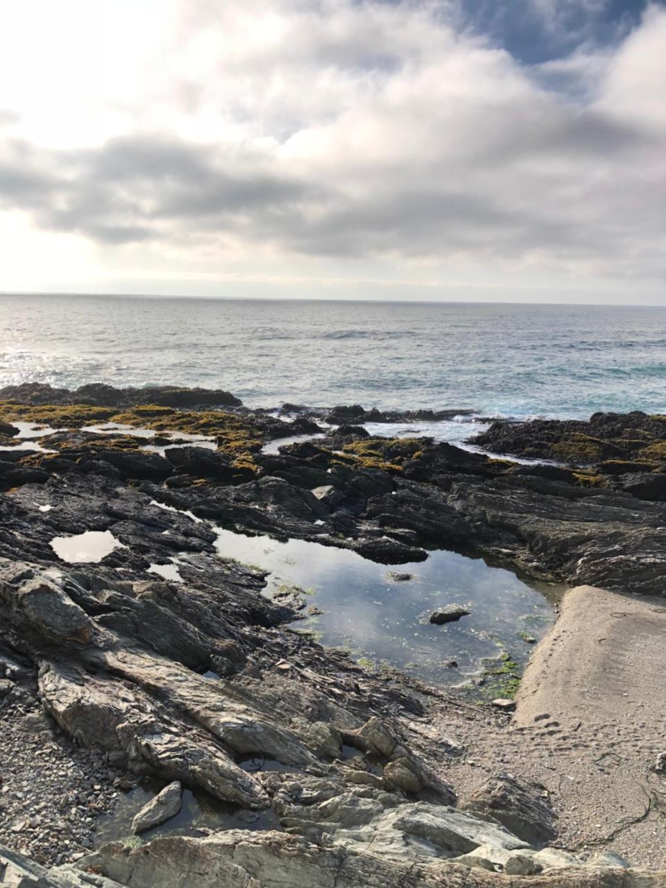 Delfín Apart Pichilemu Buitenkant foto
